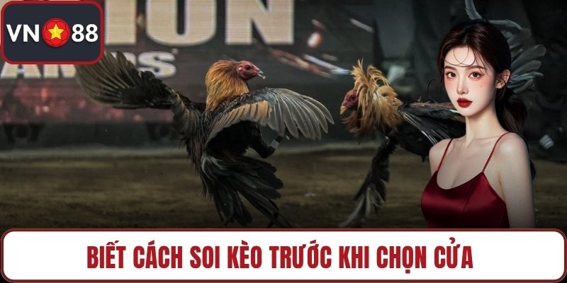 Biết cách soi kèo trước khi chọn cửa