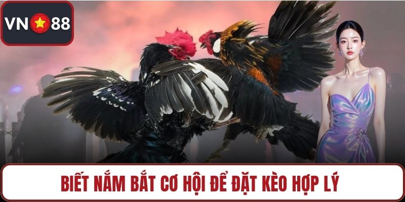 Biết nắm bắt cơ hội để đặt kèo hợp lý