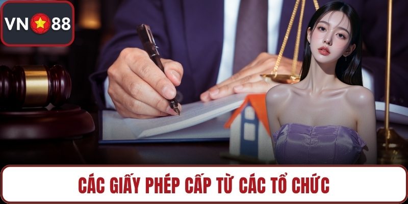 Các giấy phép cấp từ các tổ chức