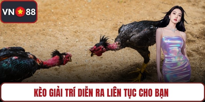 Kèo giải trí diễn ra liên tục cho bạn