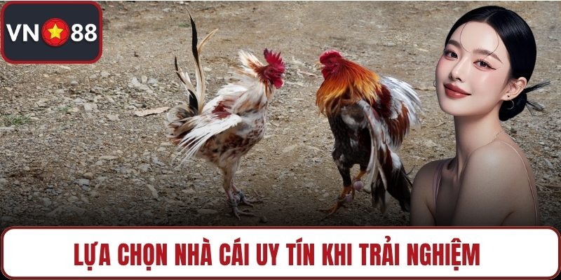 Lựa chọn nhà cái uy tín khi trải nghiệm