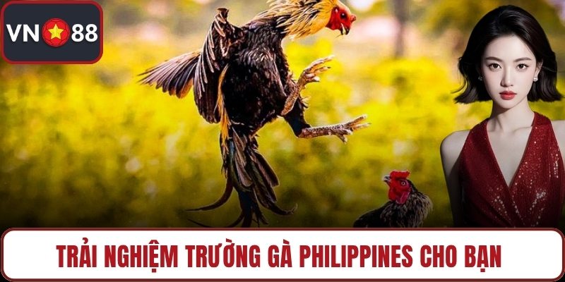 Trải nghiệm trường gà Philippines cho bạn
